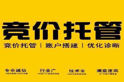信息流托管在电商领域的应用案例